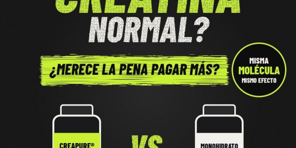 Creapure vs creatina monohidrato normal: ¿merece la pena pagar más?